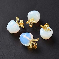 Opalite Anhänger&nbsp;G-C023-06G