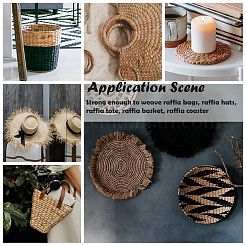 Papierband&nbsp;DIY-S003-14-1