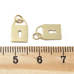 Serrure à breloques en acier inoxydable 304&nbsp;STAS-D302-06G
