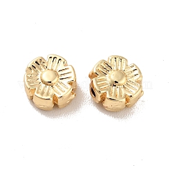 Cremagliera branelli della lega di placcatura&nbsp;PALLOY-D004-02LG