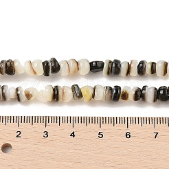 Natur schwarz Lippe Shell Perlen Stränge&nbsp;SHER-R100-02A