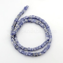 Würfel natürlichen blauen Fleck Jaspis Perlen Stränge&nbsp;G-P057-05