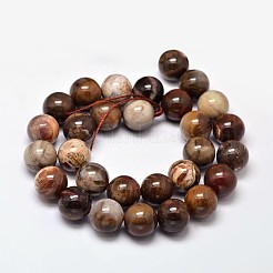 Natürliche versteinertes Holz runden Perle Stränge&nbsp;X-G-F266-08-12mm