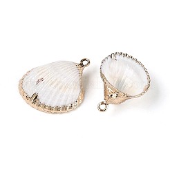 Colgantes de concha marina natural galvanizada&nbsp;SSHEL-N042-01