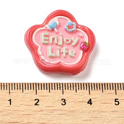 Cabochons di opaco resina&nbsp;RESI-F049-01F