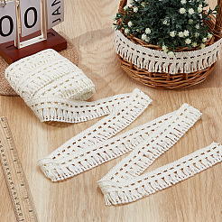 Polyester-Quasten-Spitzenband&nbsp;OCOR-WH0105-196A
