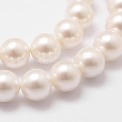 Shell-Perle Perle Stränge&nbsp;X-BSHE-L026-03-8mm