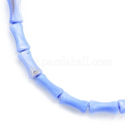 Naturali di acqua dolce perline shell fili&nbsp;SHEL-G013-01