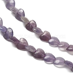 Natürliche Lepidolith / lila Glimmer Steinperlen Stränge&nbsp;G-P575-C01-6mm