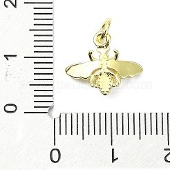 Messing Anhänger & Charms&nbsp;KK-H475-61G