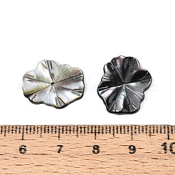 Natürliche schwarze Lippenmuschel geschnitzte Blattperlen&nbsp;BSHE-T014-31B