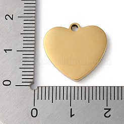 Ionenplattierung (IP) 304 Edelstahlanhänger&nbsp;STAS-D025-01G-02