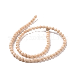 Bois pétrifié naturel perles rondes brins&nbsp;X-G-P128-49-4mm
