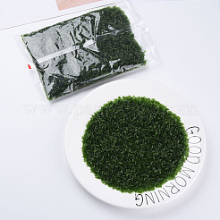 Canutillos de cristal transparente&nbsp;SEED-N005-001-C05
