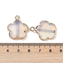 Opalite Anhänger&nbsp;G-P566-01G-03