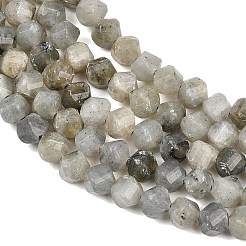 Natur Labradorit Perlen Stränge&nbsp;G-P611-C26-01