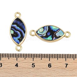 Breloques connecteurs en coquillage paua naturel pavé de laiton&nbsp;KK-M299-01C-G
