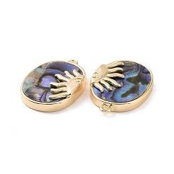 Natur Paua Muschel Anhänger&nbsp;KK-A168-03G