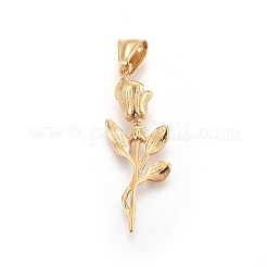 Pendentifs en acier inoxydable 304&nbsp;STAS-F197-02G