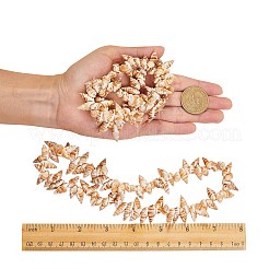 Spirale naturale perline shell fili&nbsp;BSHE-SZ0001-03