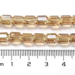 Abalorios de vidrio electroplate hebras&nbsp;EGLA-D030-19J