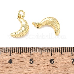 Breloques en laiton&nbsp;KK-E797-02B-G