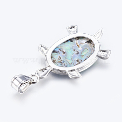 Abalone Shell / Paua Shelljewelry Sets&nbsp;SJEW-P089-02