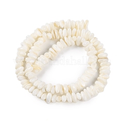 Fili di perline di conchiglia d'acqua dolce con anomalia naturale&nbsp;BSHE-S304-05A