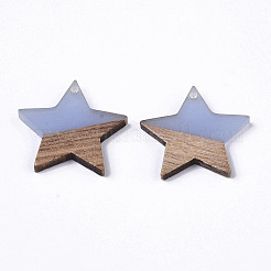 Pendentifs en résine et bois transparent&nbsp;LS-X-RESI-T023-23-B01