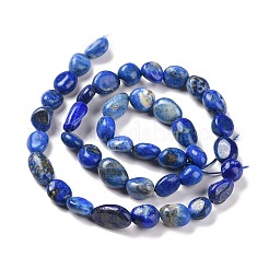 Natürlicher Lapislazuli Perlenstränge&nbsp;G-F575-01E