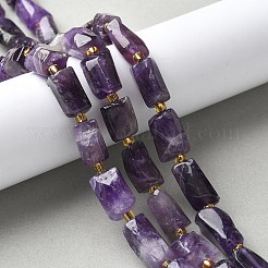 Natürlichen Amethyst Perlen Stränge&nbsp;G-N327-06-41
