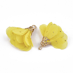 Eisen Anhänger & Charms&nbsp;FIND-T033-05M