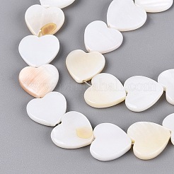 Naturali di acqua dolce perline shell fili&nbsp;SHEL-S276-87