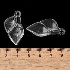 Pendentifs en acrylique transparent &nbsp;TACR-G048-04C