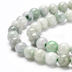 Natürliche jadeite Perlen Stränge&nbsp;G-L568-001D