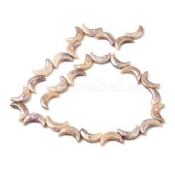 Natürliche Barock Keshi Perlen Stränge&nbsp;PEAR-B004-09A-01A