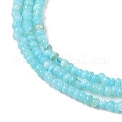Eau douce naturelle de coquillage perles brins&nbsp;SHEL-P017-01A-03