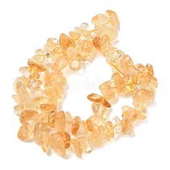 Colliers de perles de citrine naturelle (chauffée)&nbsp;G-K400-A01-8x10