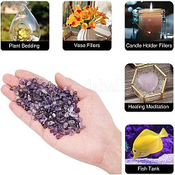 Natürliche Amethyst-Chips-Perlen&nbsp;G-GA0001-19