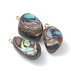 Natur Paua Muschel Anhänger&nbsp;PALLOY-JF05229