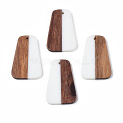 Colgantes de resina & madera&nbsp;RESI-N025-021