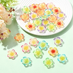 30 Stück 6 Farben Harz Cabochons&nbsp;RESI-YW0005-98