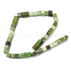 Natur Serpentin Perlen Stränge&nbsp;G-B155-C01-8x8mm