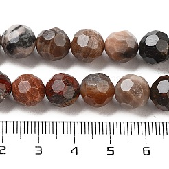 Natürliche versteinerte Holzperlen Stränge&nbsp;G-C150-B01-02