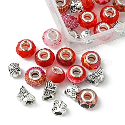 Kit de fabrication de perles européennes en alliage et résine de style tibétain&nbsp;DIY-FS0006-78E