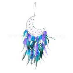 Tela/red tejida de hierro con adornos colgantes de plumas, de abalorios de plástico, luna creciente, color de malva, 561mm