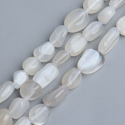 Brins de perles de pierre de lune grise naturelle, pierre roulée, pépites, 5~13x5~10x3~8mm, Trou: 1mm, Environ 40~60 pcs/chapelet, 14.57 pouce ~ 15.74 pouces (37~40 cm)