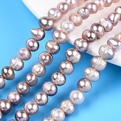 Fili di perle di perle d'acqua dolce coltivate naturali, patata, prugna, 6.5~9x6.5~7.5mm, Foro: 0.6 mm, circa 52~54pcs/filo, 13.58~13.98 pollice (34.5~35.5 cm)
