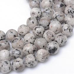 Natürliche Sesam Jaspis / Kiwi Jaspis Perlenstränge, Runde, lichtgrau, 10~11 mm, Bohrung: 1 mm, ca. 39 Stk. / Strang, 15.2 Zoll