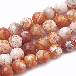 Fili di perline di agata naturale crackle tinti, tondo, corallo, 8~8.5mm, Foro: 1 mm, circa 48pcs/filo, 15.1 pollice